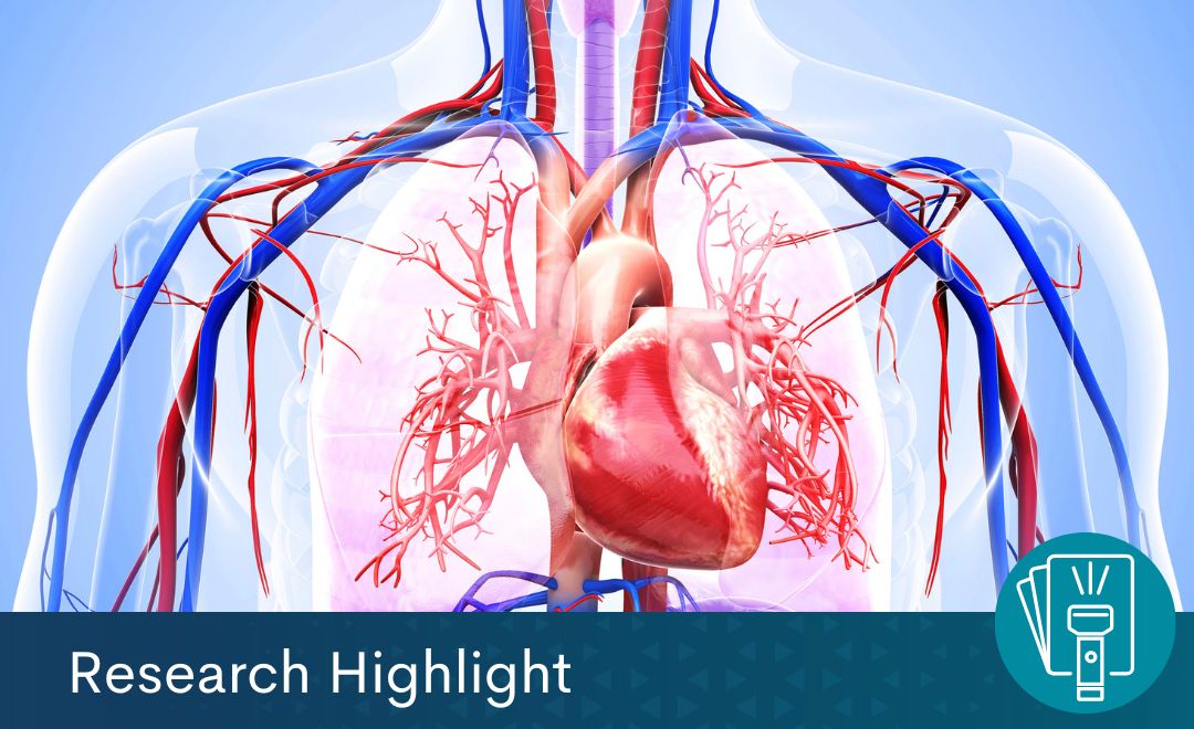 An illustration of the heart and blood vessels. Text at the bottom reads "Research Highlight"