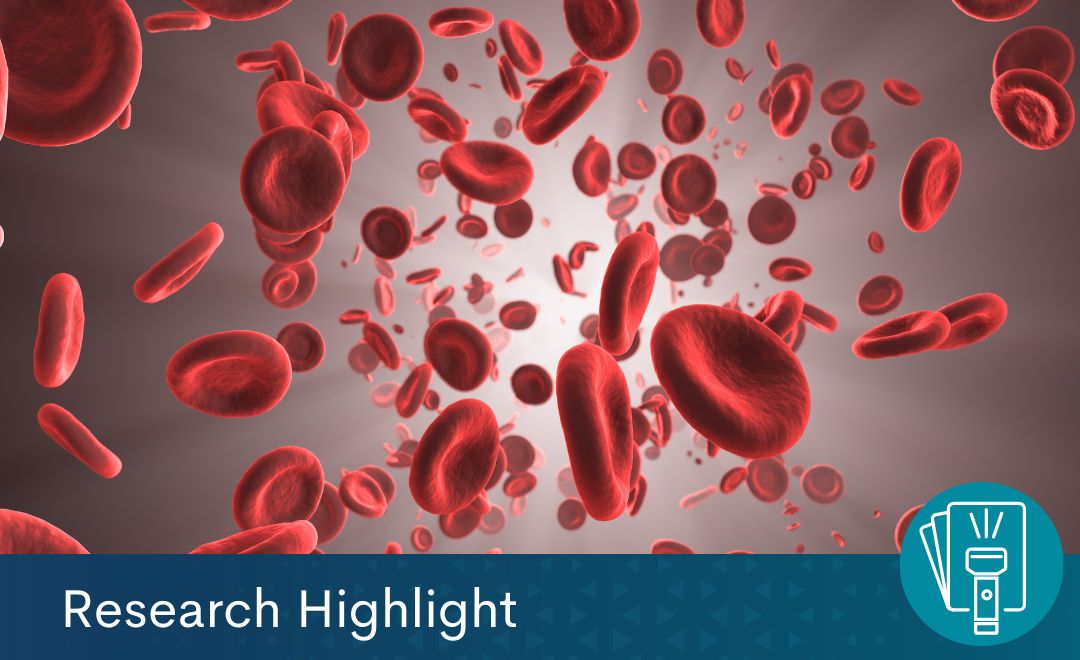 Red blood cells. Text at the bottom reads "Research Highlight"